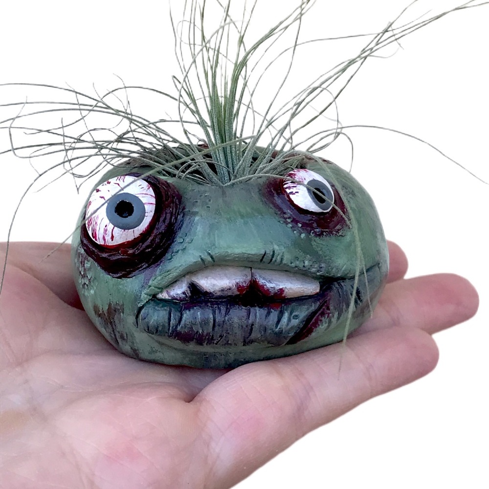 🛑SOLD🛑Handmade Airplant holder zombie